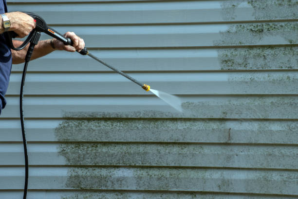 Best House Exterior Washing  in Lamont, CA